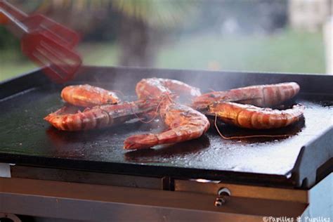 Voici Mes Coonseils Pour Bien Cuisiner La Plancha Plancha Men