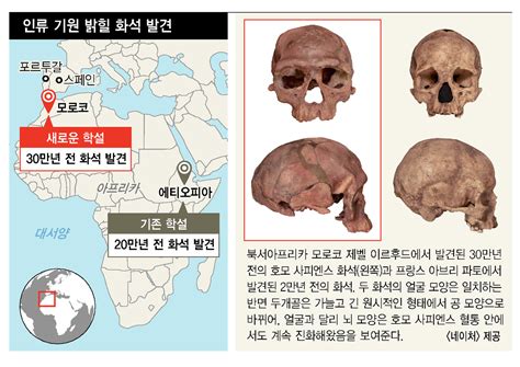 톱 265 인류 의 기원 새로운 업데이트 31 시간 전