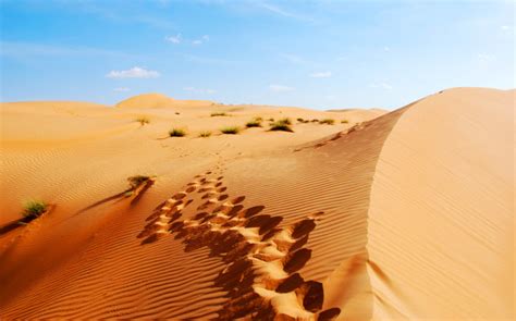 Arabian Peninsula Desert