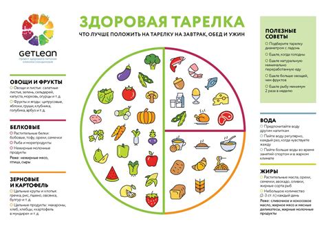 Питательные вещества. Правило здоровой тарелки