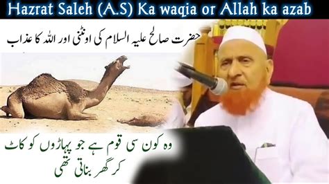 Hazrat Saleh Alaihis Salam Ka Waqia Hazrat Saleh A S Ki Oontni Ka