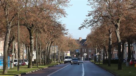 Amiens Les Bienfaits Des Arbres Défendus En Ville Courrier Picard