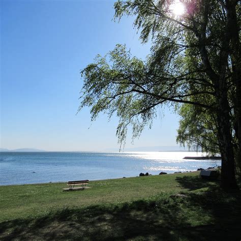 Parc De La Plage De Saint Sulpice Saint Sulpice Ce Quil Faut Savoir