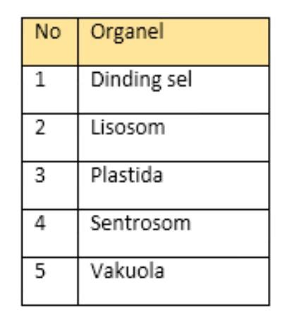 Latihan Soal Kunci Jawaban Ipa Materi Sel Jaringan Organ Sistem