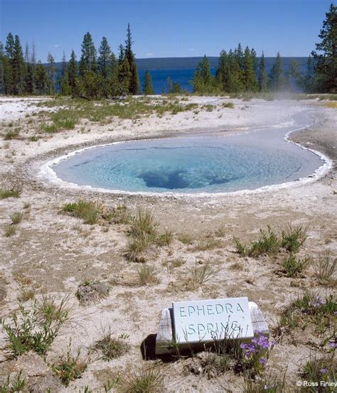 The Geysers of Yellowstone