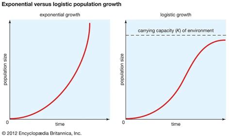 The 3 Types Of Growth Which Growth Curve Do You Follow Founderjar