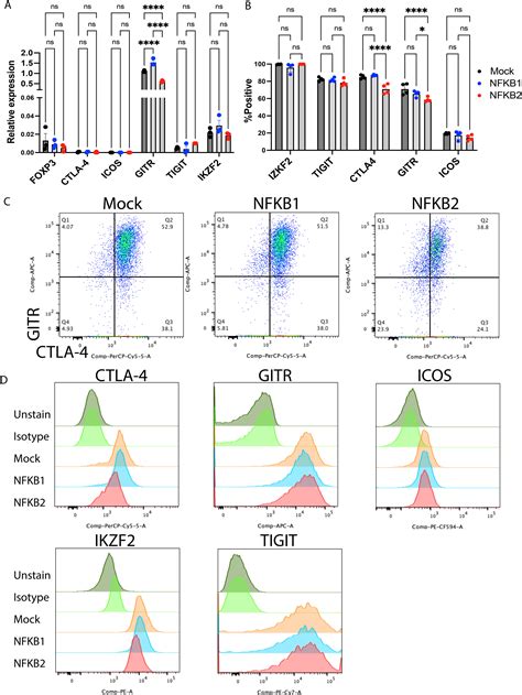 Non Canonical NFKB Signaling Endows Suppressive Function Through FOXP3