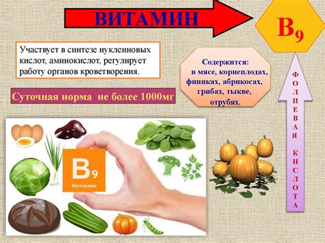 Витамины. 5 класс - презентация онлайн