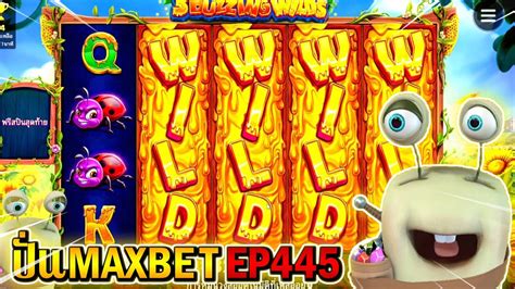 3 Buzzing Wild Pragmatic Play ปนMAXBET EP445 YouTube