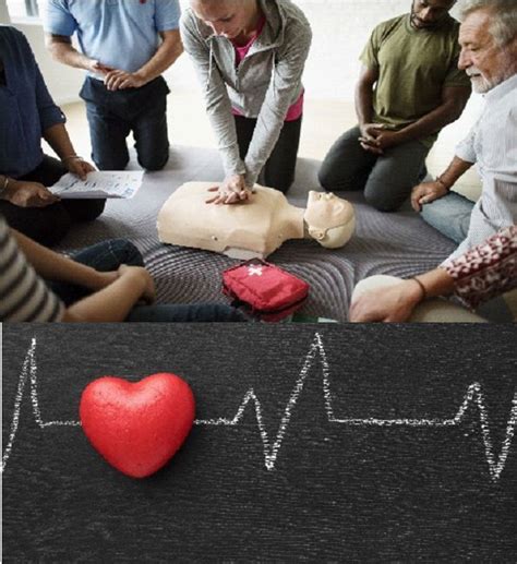 Corso Bls D Basic Life Support Defibrillation