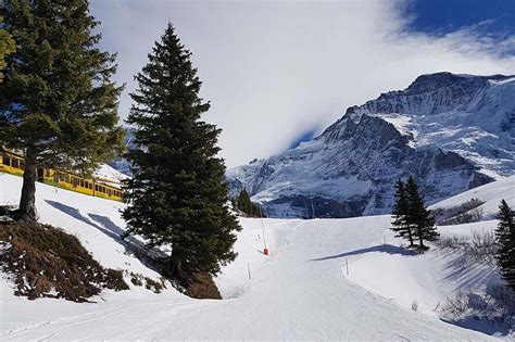 Skiing In Wengen What To Expect Tips For Your Winter Visit