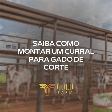 Curral Para Gado De Corte Saiba Como Montar Gold Farm