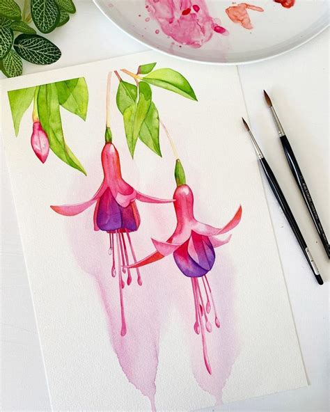 Louise De Masi On Instagram This Is A Fairly Simple Fuchsia