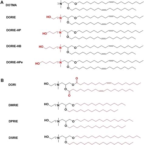 Structures Of A Lipid Library Containing Hydroxyalkyl Chain Lengths On