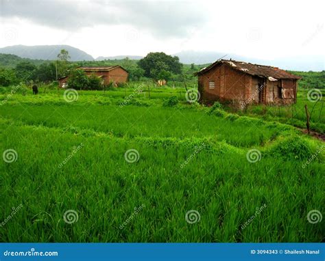 Lush Green Landscape Stock Photos Image 3094343