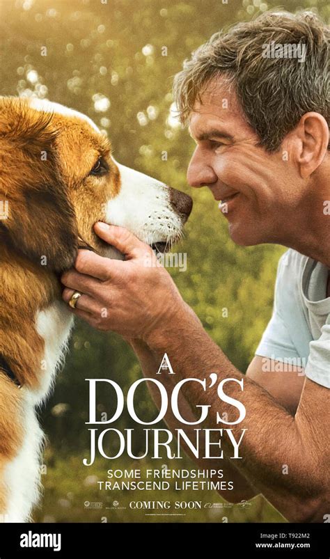 A Dogs Journey Us Advance Poster From Left Bailey The Dog Dennis