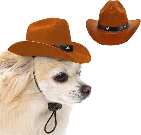 Dog Cowboy Hat | Skinny Ninja Mom