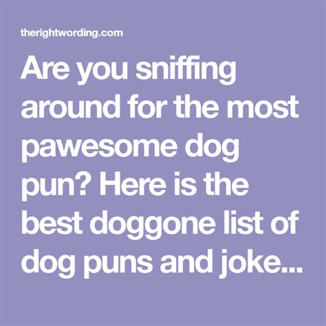 Are You Sniffing Around For The Most Pawesome Dog Pun Here Is The Best