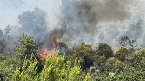 Incendi Spento Il Rogo Di Olivetta San Michele