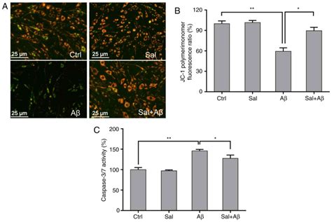 Salidroside Protects Pc Cells Against Amyloid Induced Apoptosis By