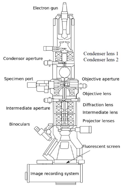 2 Diagram Outlining The Internal Components Of A Basic Tem System