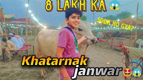 Mashallah 8 Lakh Ka Janwar Cow Vlogs Bakra Mandi 2023 Cow