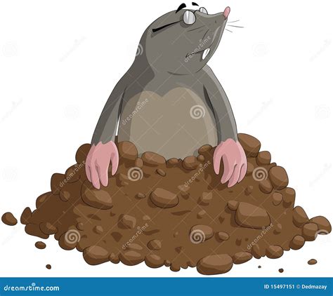 Mole Cartoons Illustrations And Vector Stock Images 3679 Pictures To