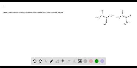 Solved Draw The Pentapeptide With Amino Acids Yipmt With The Peptide