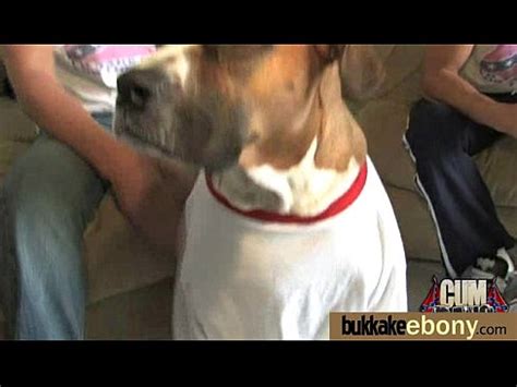 Huge Cocks Cover Their Black Face In Cum Xvideos