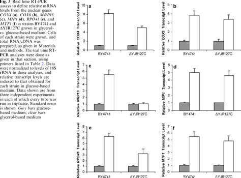 Real Time Rt Pcr Assays To Define Relative Mrna Levels From The Nuclear