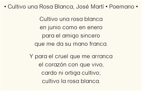 Cultivo Una Rosa Blanca Un An Lisis Profundo Del Poema Poemas Blog