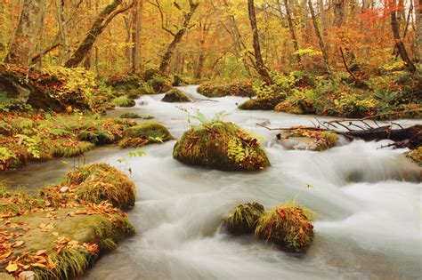 The Best Spots To See Autumn Leaves In Tohoku Gaijinpot Travel