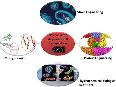 Methods To Remediate And Degrade Microplastics In Marine Environment