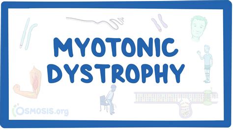 Myotonic dystrophy: Video, Causes, & Meaning | Osmosis