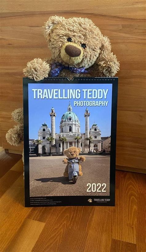 Petit Ourson D Amour TRAVELLING TEDDY Petit Ourson Ourson