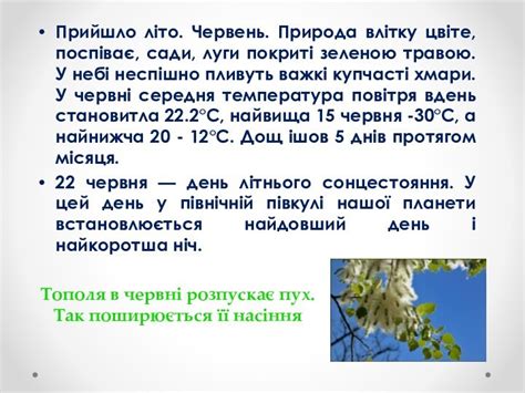 проект на тему: Природа влітку презентация