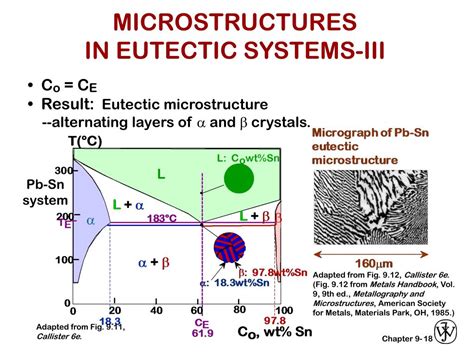 PPT - EX: Pb-Sn EUTECTIC SYSTEM (1) PowerPoint Presentation, free ...