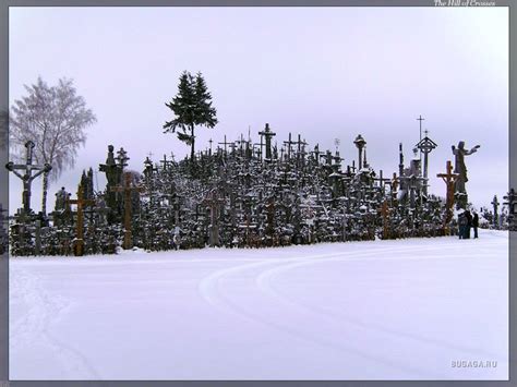 Гора крестов. Шауляй.
