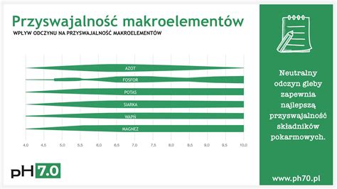 Jak odczyn gleby wpływa na skuteczność nawożenia w rolnictwie Poradnik