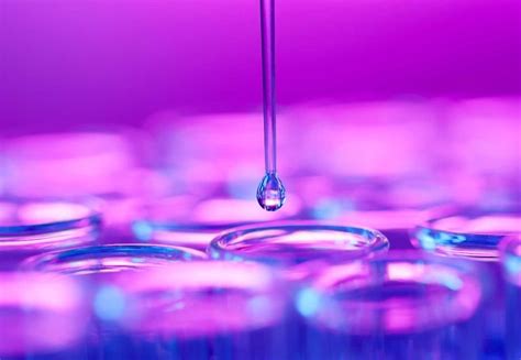 Innovation in Biotech: Our Most Powerful Weapon Against Viruses