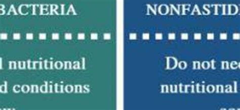 What are examples for fastidious bacteria? - TimesMojo