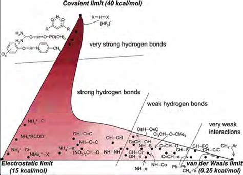 Hydrogen Bonds Energy Diagram Where Hydrogen Bond Strength Is