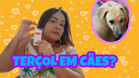 CACHORRO OLHO INCHADO O QUE PODE SER CACHORRO TEM TERÇOL YouTube