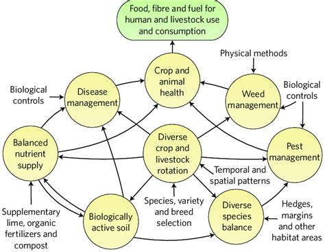 Organic Management Practices The Complex Interactions Among Download Scientific Diagram