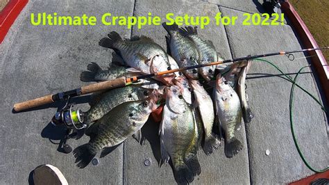 The Best Crappie Fishing Setup Must Have Rod Reel Line And Bait