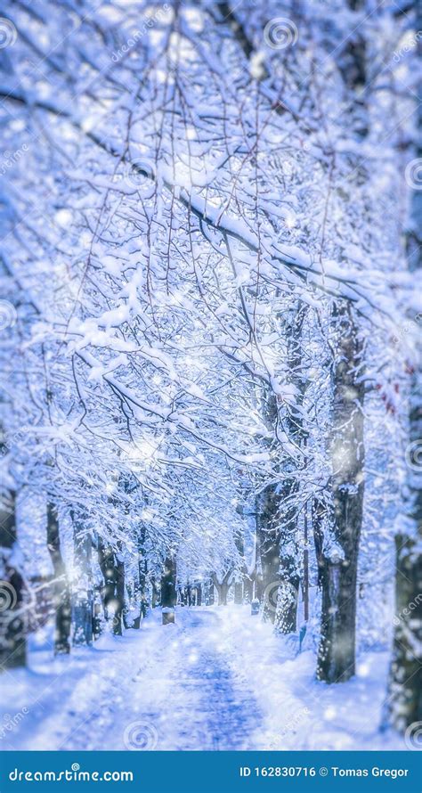 Snowy Alley In Poprad Stock Photo Image Of Alley Attraction 162830716