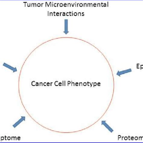 The Cancer Cell Phenotype Is The Result Of The Interplay Between The