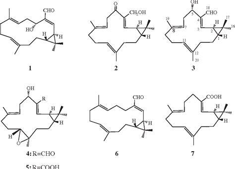 Figure 1 From Casbane Diterpenoids From The Roots Of Euphorbia