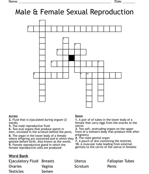 Male Female Sexual Reproduction Crossword WordMint