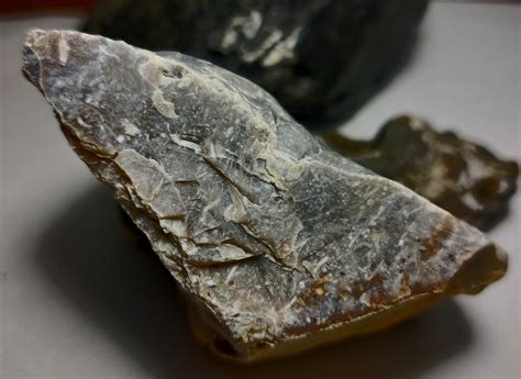 Chert fossils, inclusions - Fossil ID - The Fossil Forum